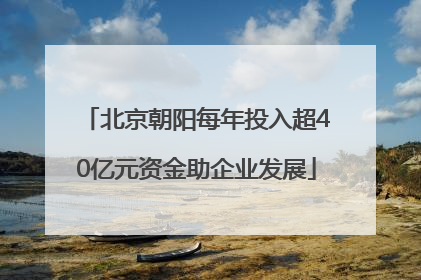 北京朝阳每年投入超40亿元资金助企业发展