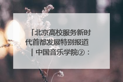 北京高校服务新时代首都发展特别报道｜中国音乐学院②：“中国音·中国乐·中国年”助力北京全国文化中心建设