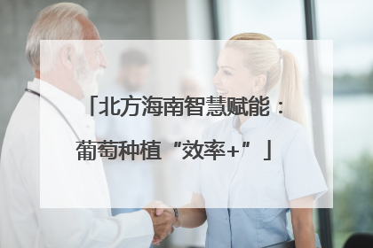 北方海南智慧赋能：葡萄种植“效率+”