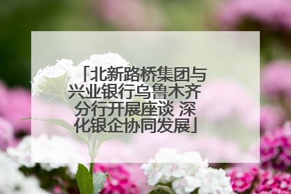 北新路桥集团与兴业银行乌鲁木齐分行开展座谈 深化银企协同发展