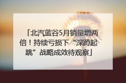北汽蓝谷5月销量增两倍！持续亏损下“深蹲起跳”战略成效待观察