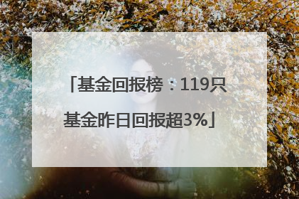 基金回报榜：119只基金昨日回报超3%