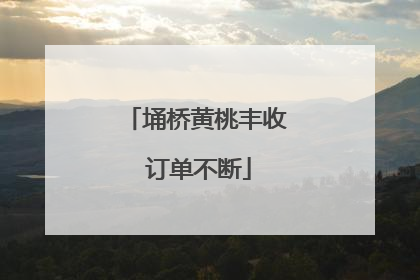 埇桥黄桃丰收 订单不断