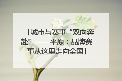 城市与赛事“双向奔赴”——平原：品牌赛事从这里走向全国