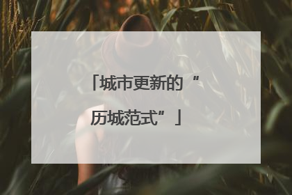 城市更新的“历城范式”