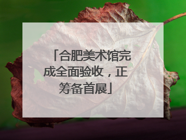 合肥美术馆完成全面验收，正筹备首展
