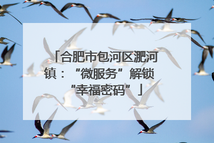 合肥市包河区淝河镇：“微服务”解锁“幸福密码”