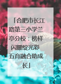 合肥市长江路第三小学兰亭分校：榜样闪耀绽光彩 五育融合助成长