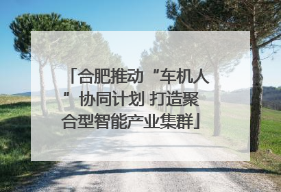 合肥推动“车机人”协同计划 打造聚合型智能产业集群