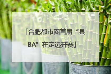 合肥都市圈首届“县BA”在定远开赛