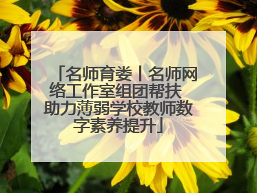 名师育娄丨名师网络工作室组团帮扶 助力薄弱学校教师数字素养提升