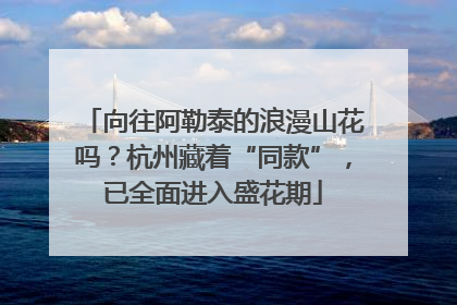 向往阿勒泰的浪漫山花吗？杭州藏着“同款”，已全面进入盛花期