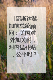 哥斯达黎加前总统顾问：美国对外加关税，对内猛补贴，公平吗？