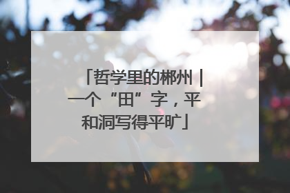 哲学里的郴州｜一个“田”字，平和洞写得平旷