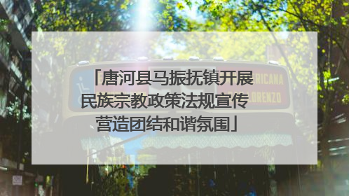 唐河县马振抚镇开展民族宗教政策法规宣传 营造团结和谐氛围