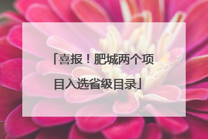 喜报！肥城两个项目入选省级目录