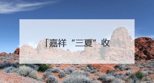 嘉祥“三夏”收割忙 机械化奏响丰收进行曲