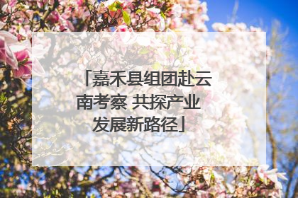 嘉禾县组团赴云南考察 共探产业发展新路径