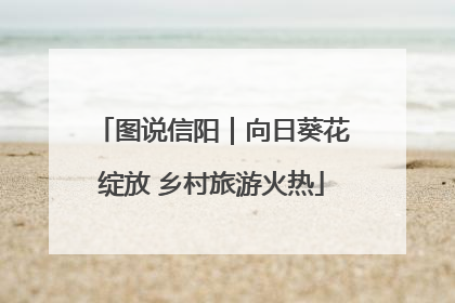 图说信阳｜向日葵花绽放 乡村旅游火热
