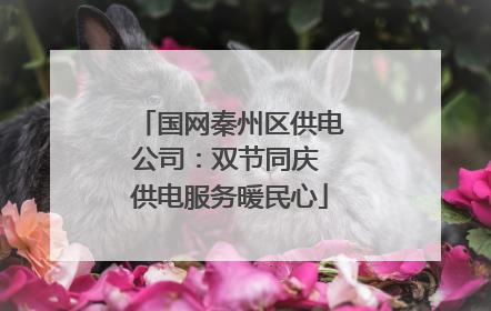 国网秦州区供电公司：双节同庆 供电服务暖民心