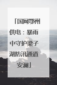 国网鄂州供电：暴雨中守护梁子湖防汛通道安澜