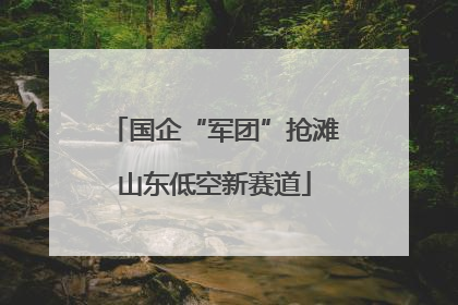 国企“军团”抢滩山东低空新赛道