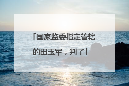 国家监委指定管辖的田玉军，判了