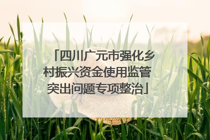 四川广元市强化乡村振兴资金使用监管突出问题专项整治