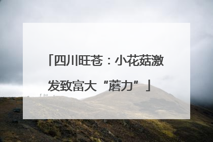 四川旺苍：小花菇激发致富大“蘑力”