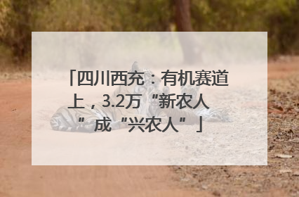 四川西充：有机赛道上，3.2万“新农人”成“兴农人”