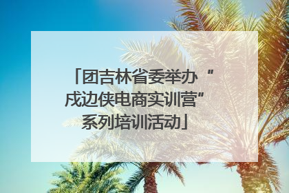 团吉林省委举办“戍边侠电商实训营”系列培训活动