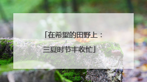 在希望的田野上：三夏时节丰收忙