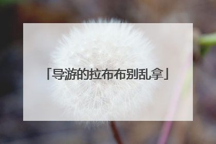 导游的拉布布别乱拿