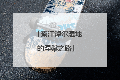 察汗淖尔湿地的涅槃之路