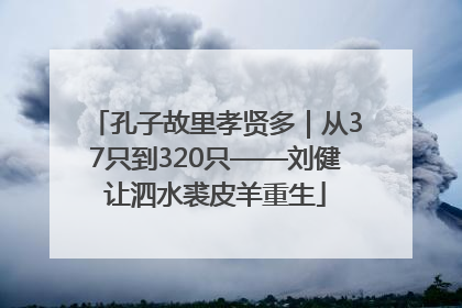 孔子故里孝贤多｜从37只到320只——刘健让泗水裘皮羊重生
