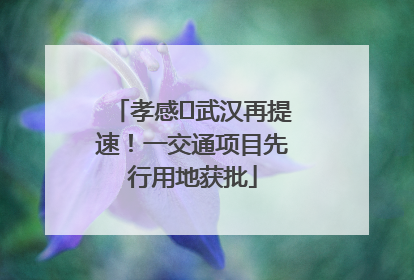孝感⇋武汉再提速！一交通项目先行用地获批