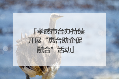 孝感市台办持续开展“惠台助企促融合”活动