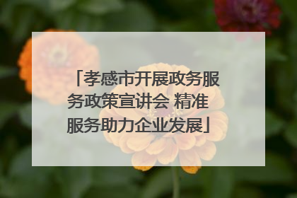 孝感市开展政务服务政策宣讲会 精准服务助力企业发展