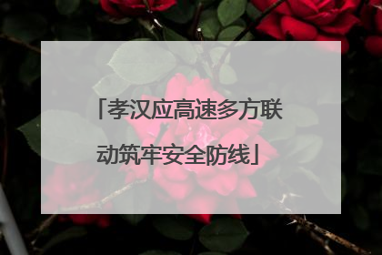 孝汉应高速多方联动筑牢安全防线
