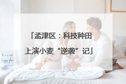 孟津区：科技种田 上演小麦“逆袭”记