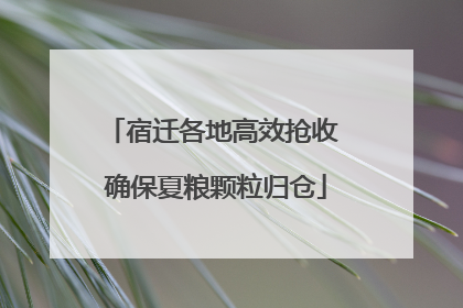 宿迁各地高效抢收 确保夏粮颗粒归仓