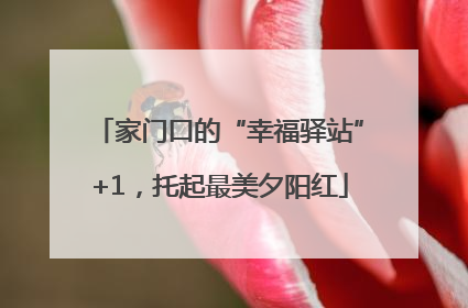 家门口的“幸福驿站”+1，托起最美夕阳红