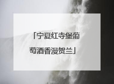 宁夏红寺堡葡萄酒香漫贺兰