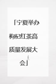 宁夏举办枸杞红茶高质量发展大会