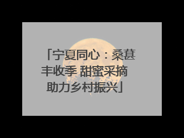 宁夏同心：桑葚丰收季 甜蜜采摘助力乡村振兴