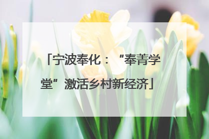 宁波奉化：“奉菁学堂”激活乡村新经济
