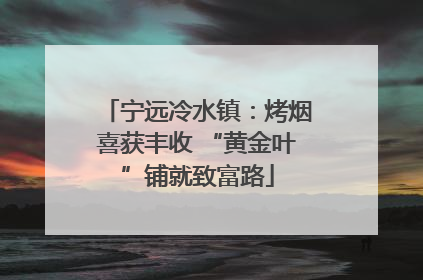 宁远冷水镇：烤烟喜获丰收 “黄金叶”铺就致富路