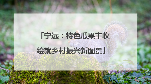 宁远：特色瓜果丰收绘就乡村振兴新图景