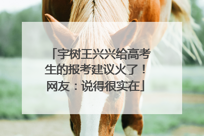 宇树王兴兴给高考生的报考建议火了！网友：说得很实在