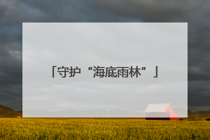 守护“海底雨林”